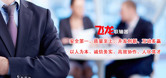 保定飞龙联轴器有限公司